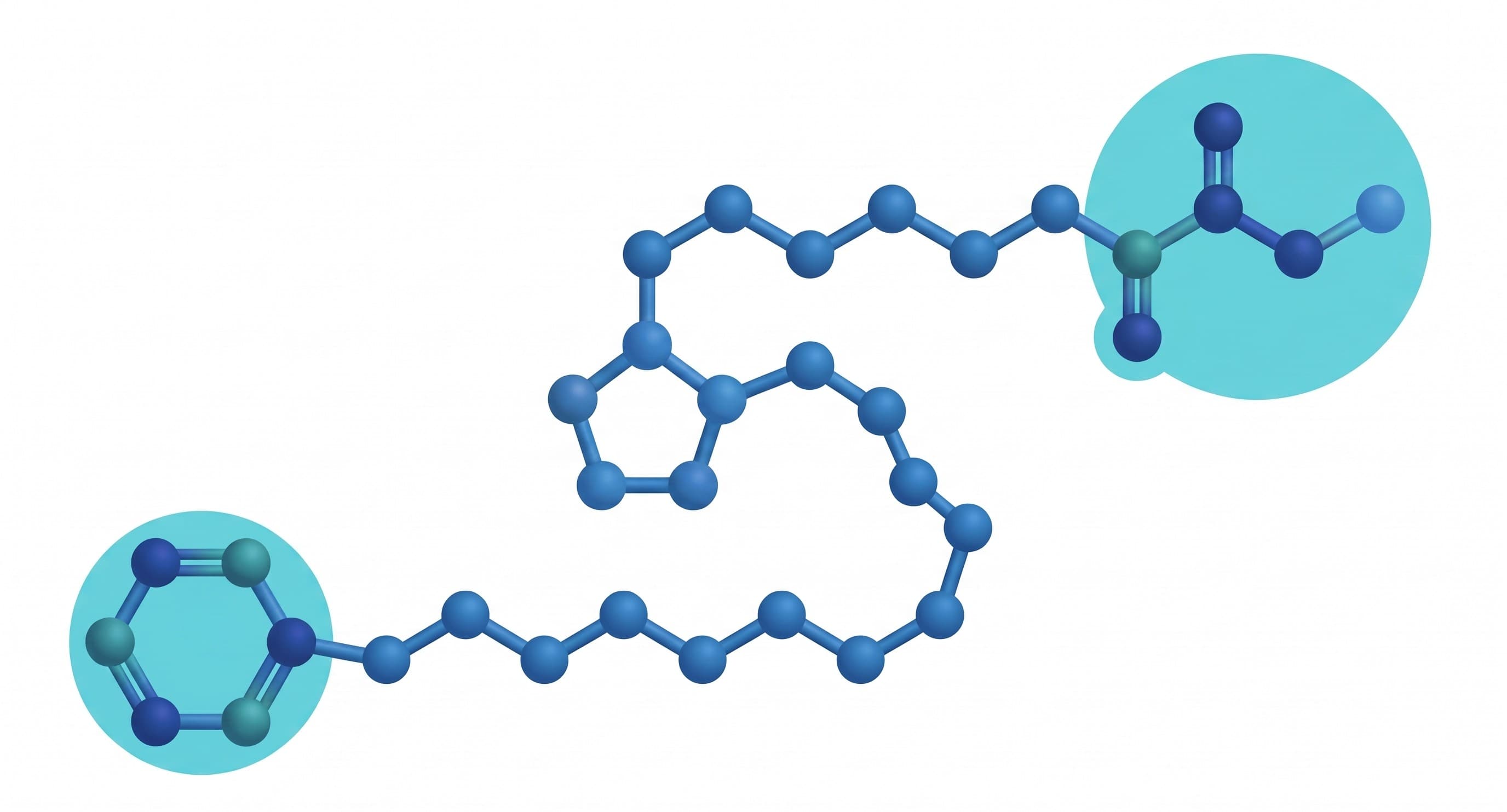 Duke Disclosed a Prostaglandin Forest. It Never Pointed to the Amide Tree.